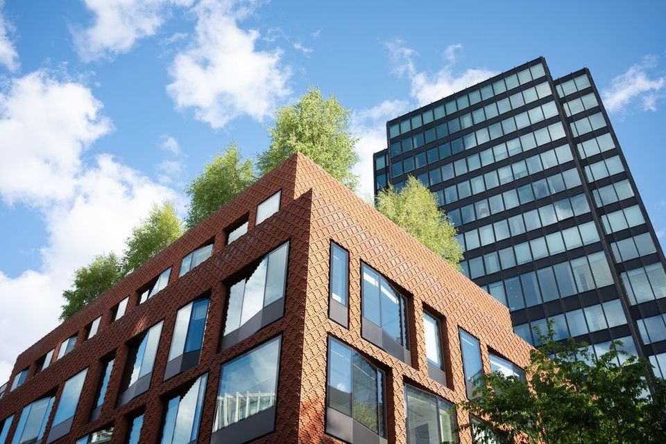edificio green